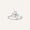 CLUSTER RING
