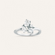 CLUSTER RING